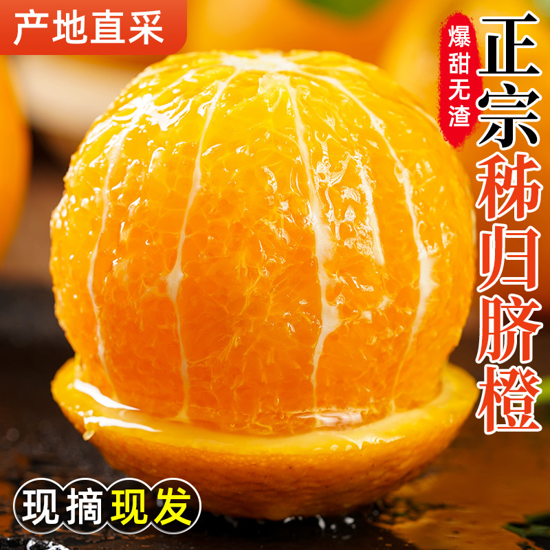 湖北秭归纽荷尔脐橙包邮新鲜应季时令水果冰糖手剥果冻甜橙子