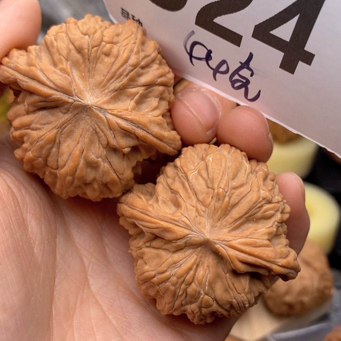 文玩核桃把件524号44全磨盘