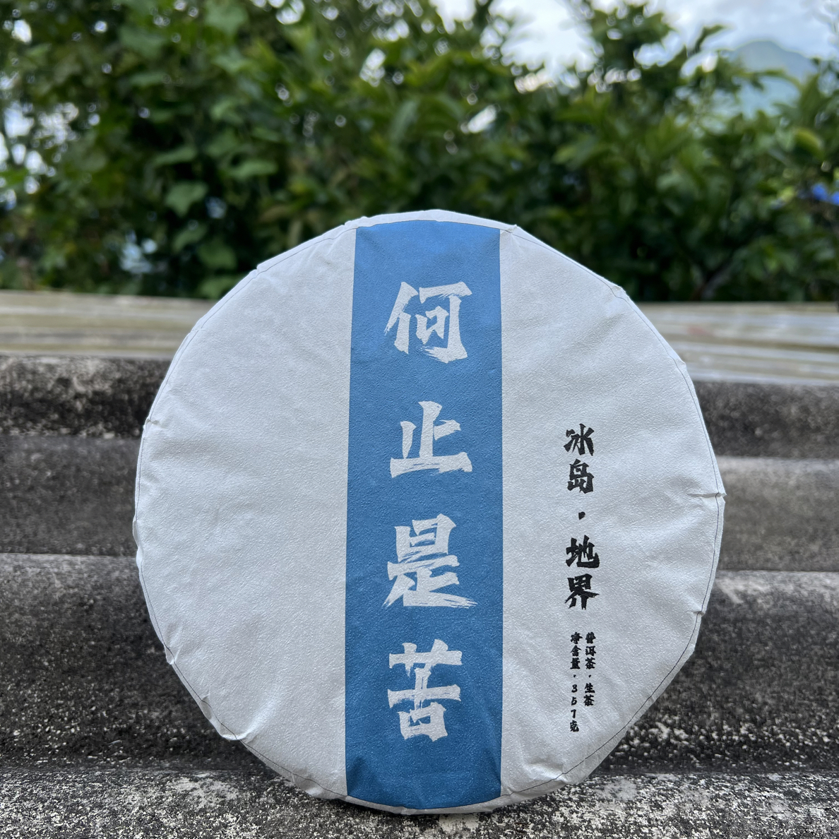【冰岛】2023年春冰岛地界勐库西半山普洱生茶