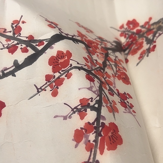 开***乐杂色豆（科檀/科特迪瓦檀木）