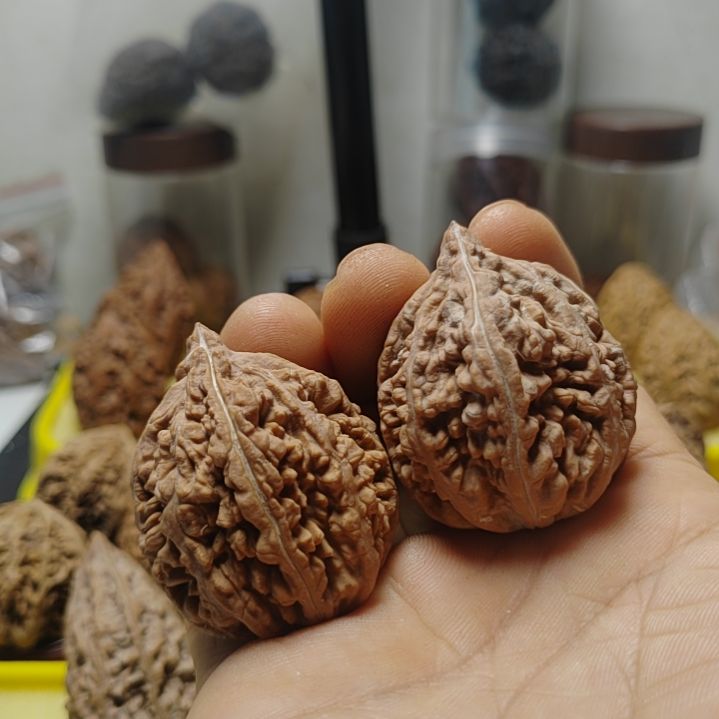 文玩核桃把件豆粒纹