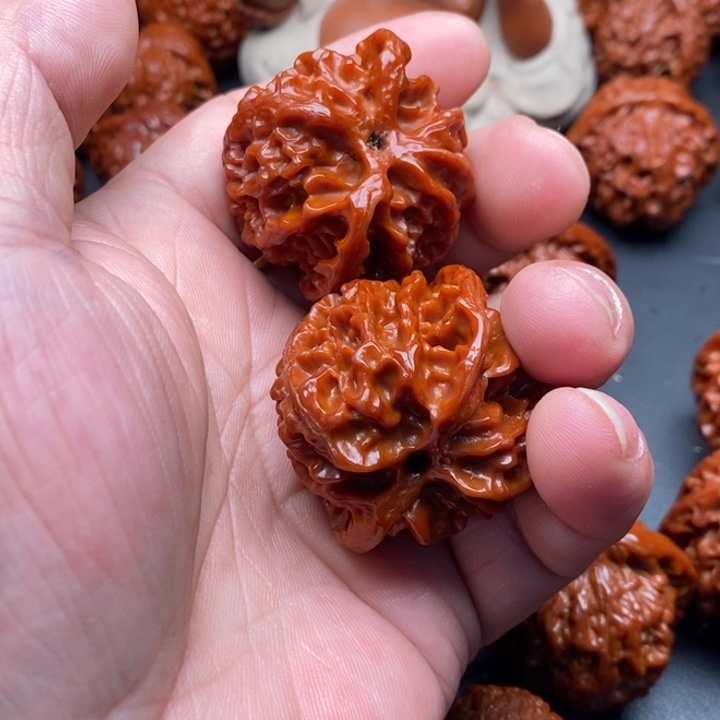 核桃张*网苹果123456