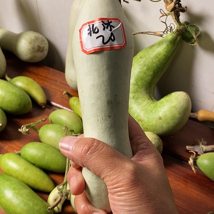 北**城手把本章葫芦摆件