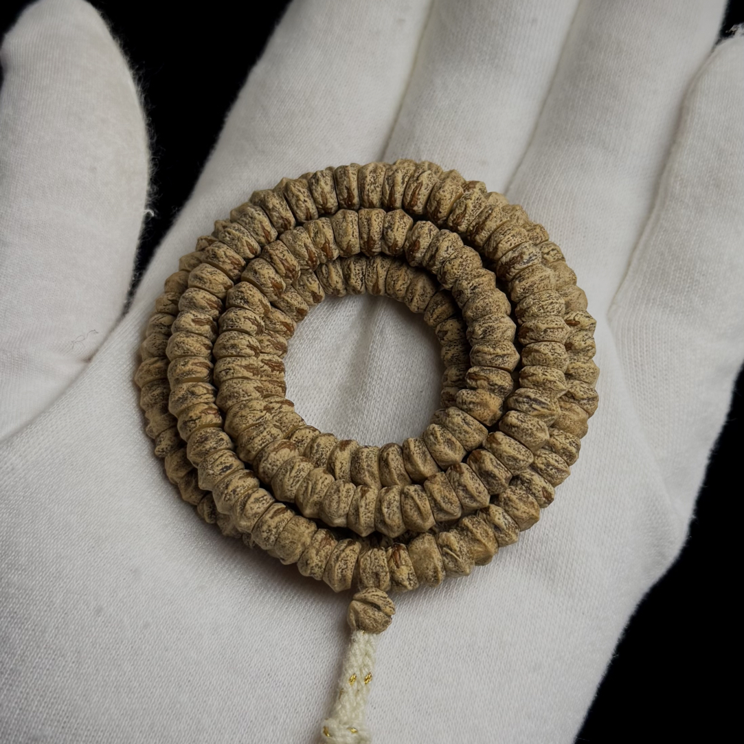 【小嘴】尺寸6.5-7mm，密度高，油性足。红芽斜切横打百香籽脖挂