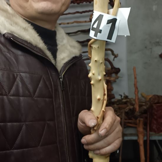 用***1香榧木高山 檬子木文玩料