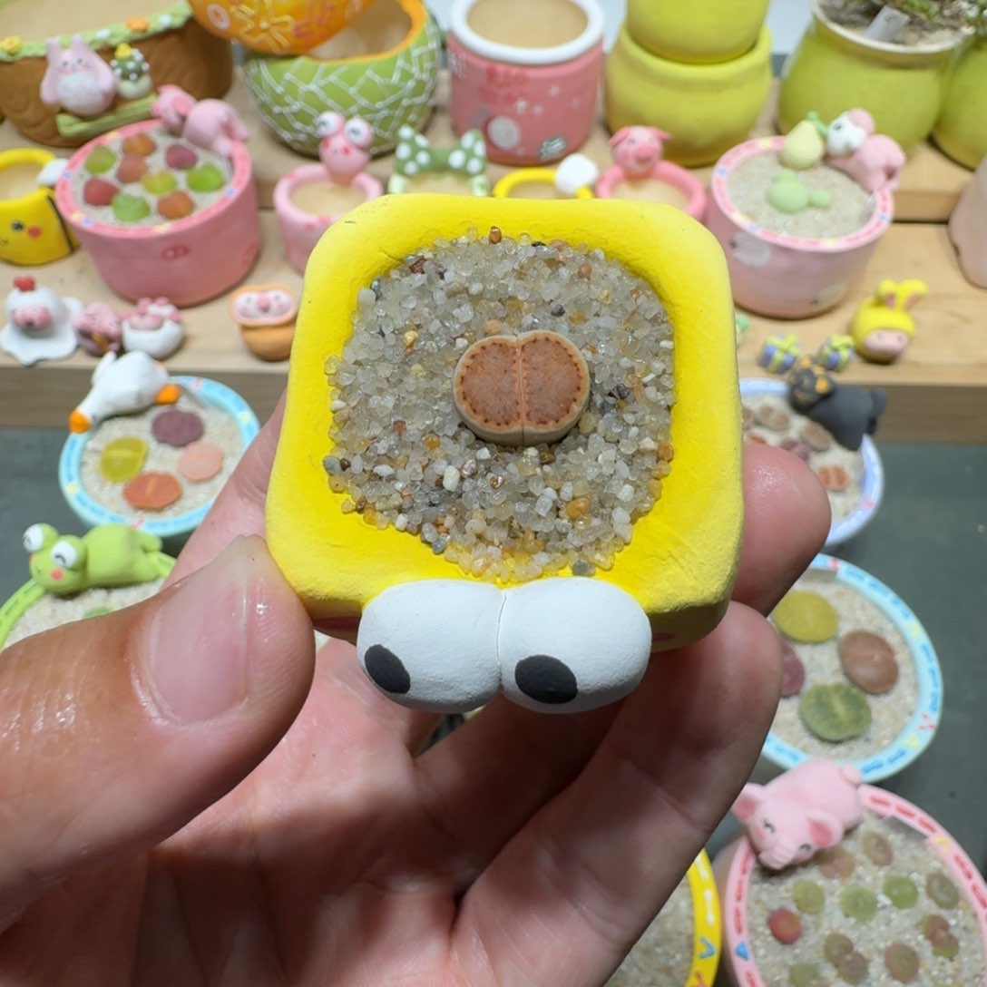 蘑菇312c218a饼干饼干