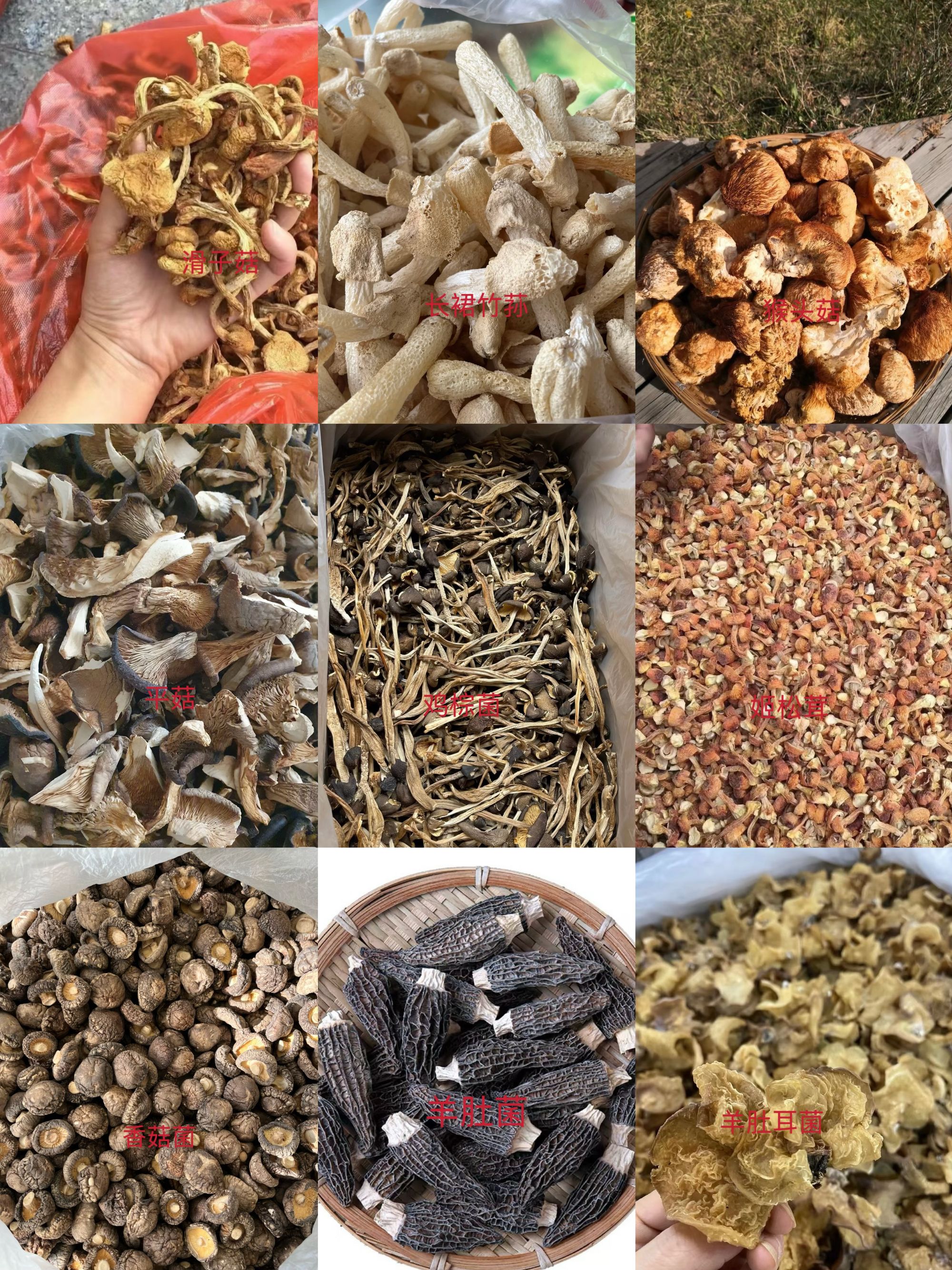 桑甚代拍精选链--6