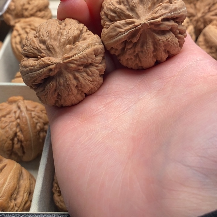 啦***啦把件文玩核桃霸王龙