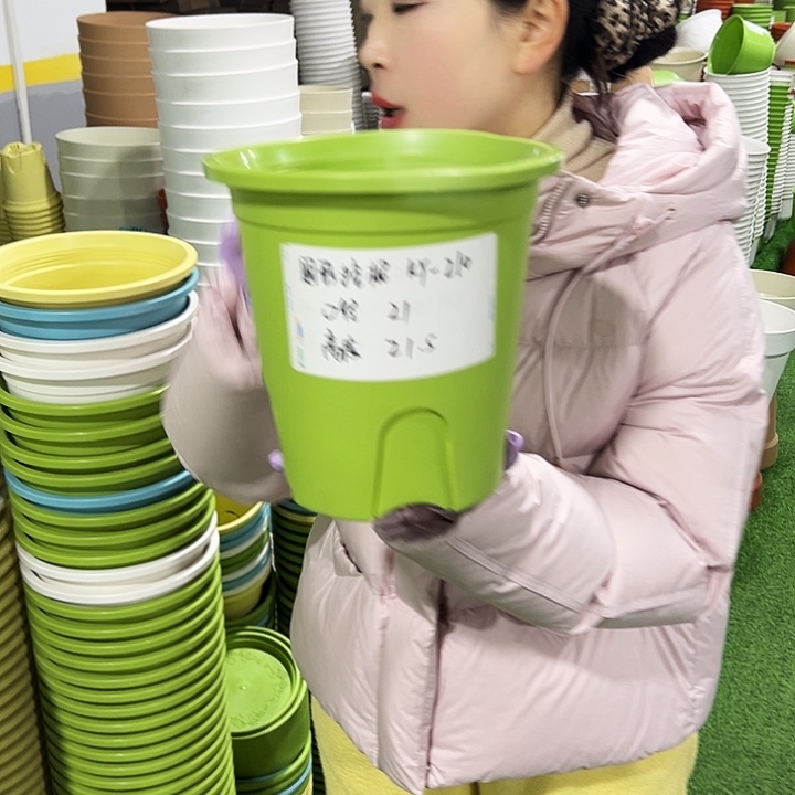 正品圆控口21高21果绿8只无托