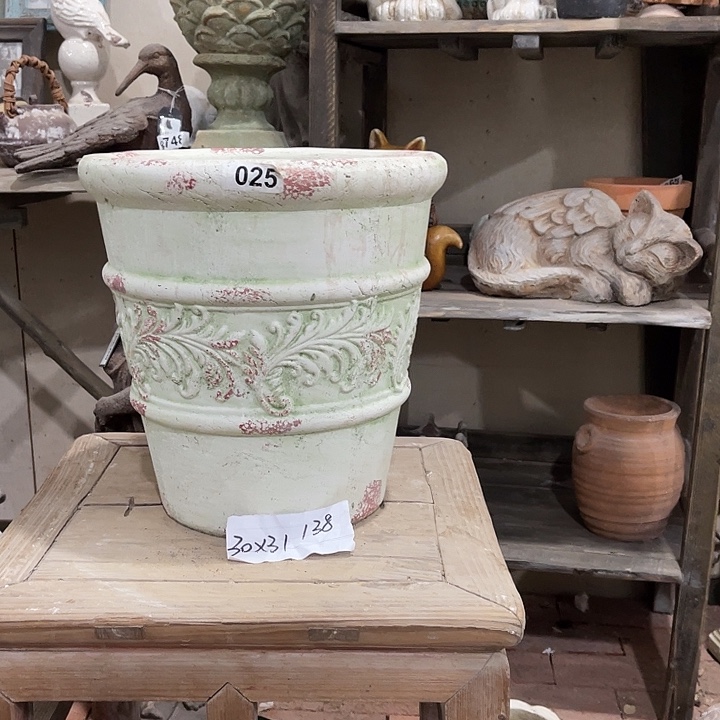 025浅绿凤翎盆111