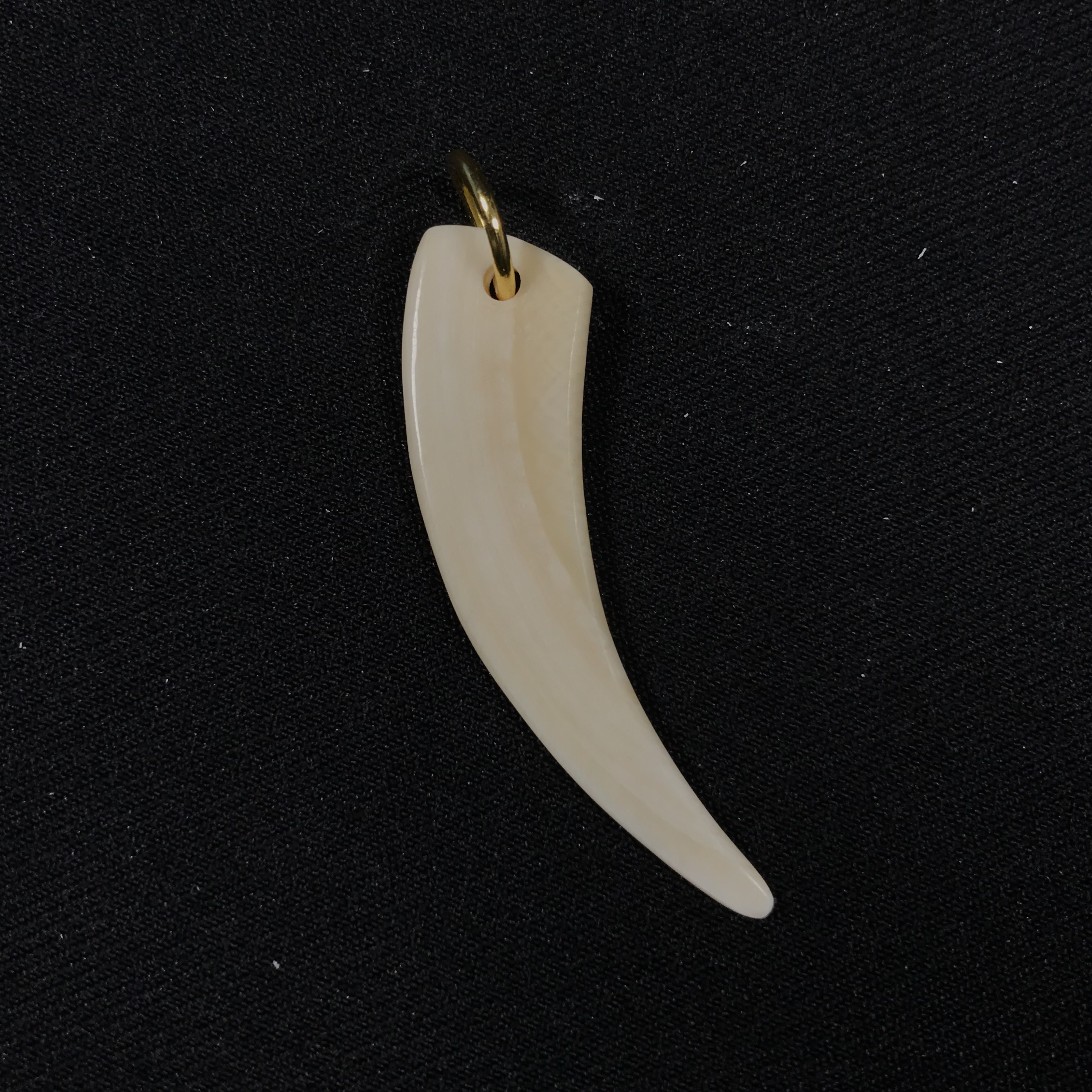 J123118 只做天然猛犸牙 牙尖 约长49*宽12*厚3mm 约2.2克