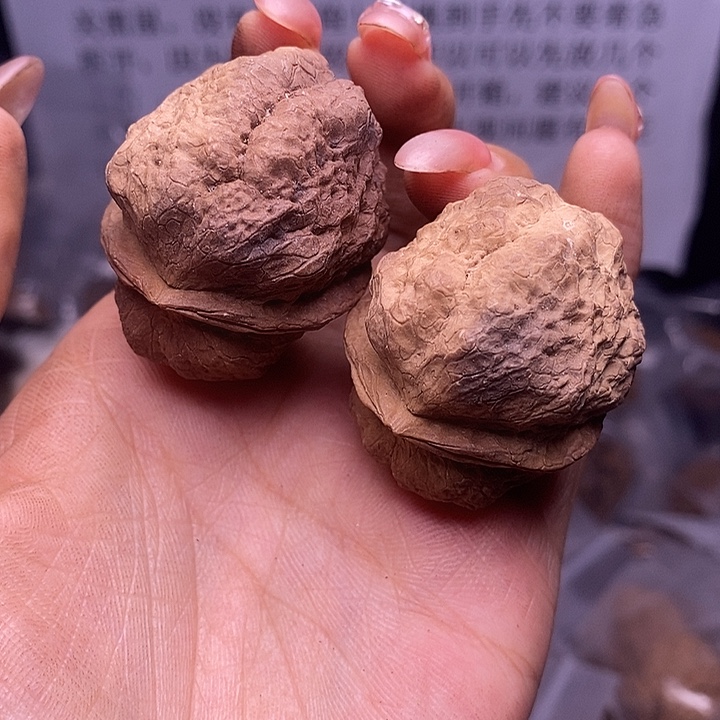 核桃云南野生铁核桃189号41mm