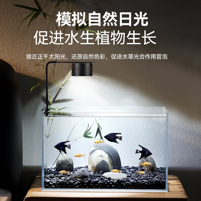 LA DING-拉丁二代原生溪流爆藻专业RGB全光谱app筒灯