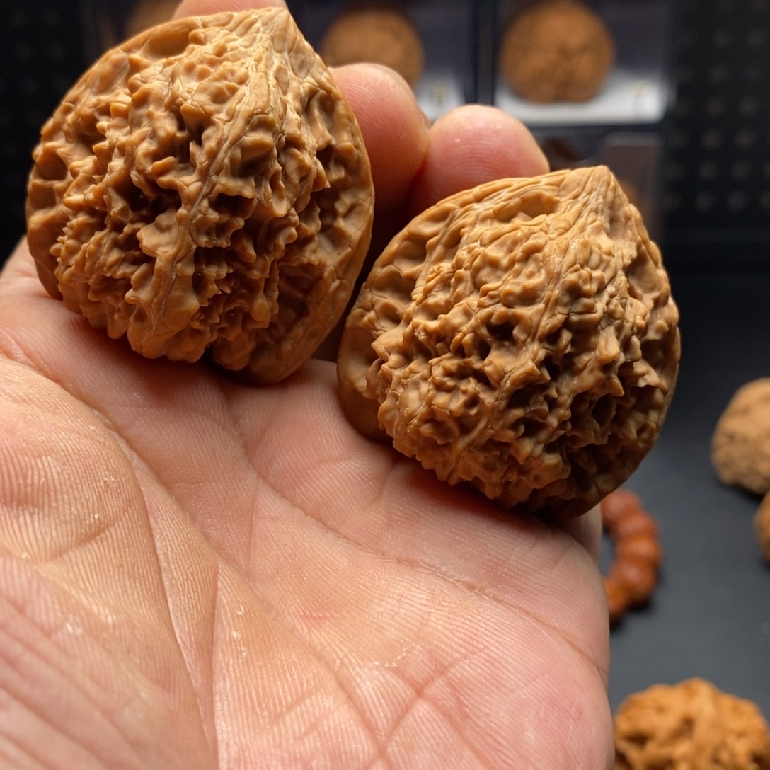 会***鱼41全品满天星88888888888