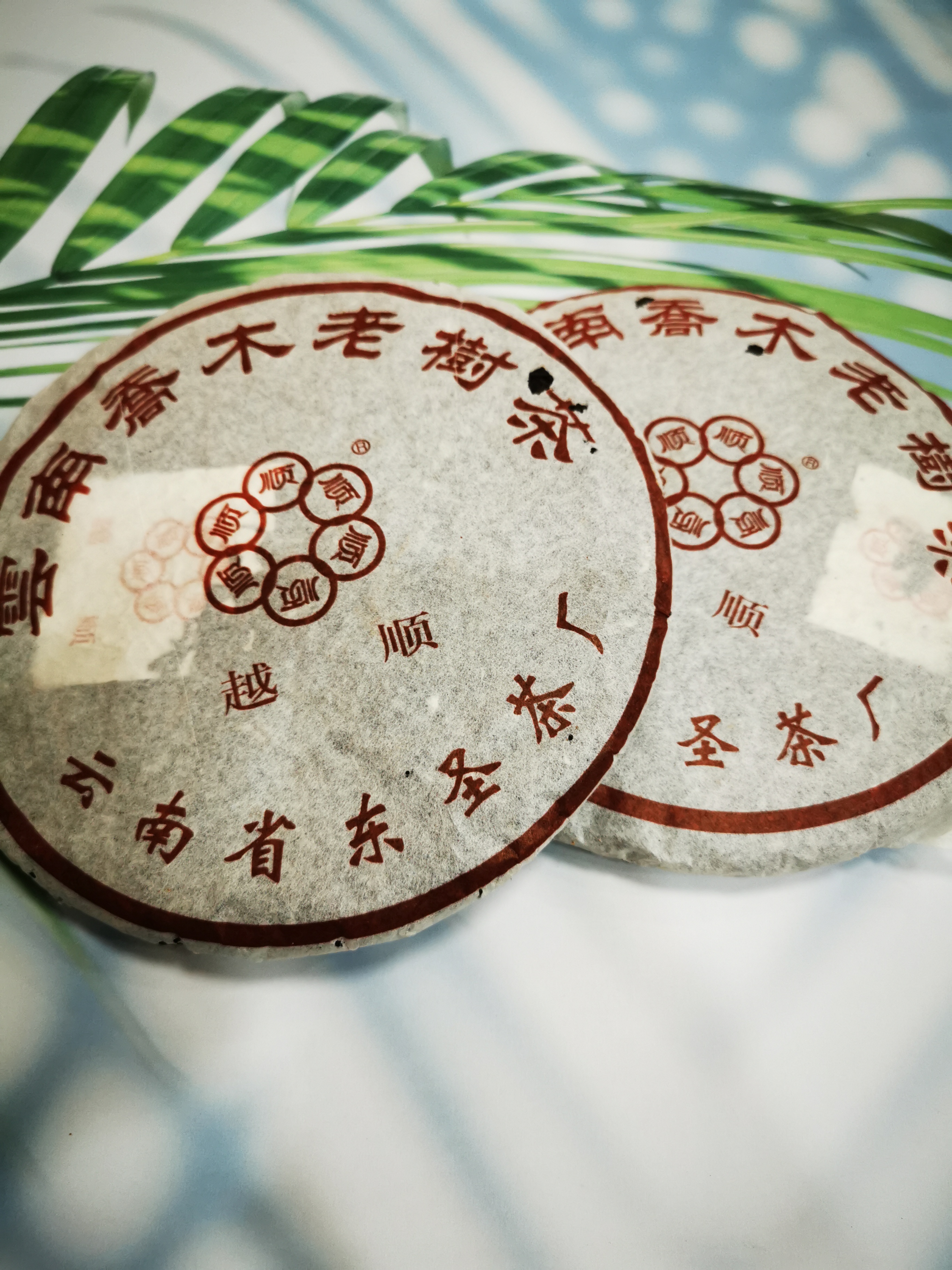 言言有好茶  普洱熟茶 2002年越顺熟茶  枣香回甘持久带甜