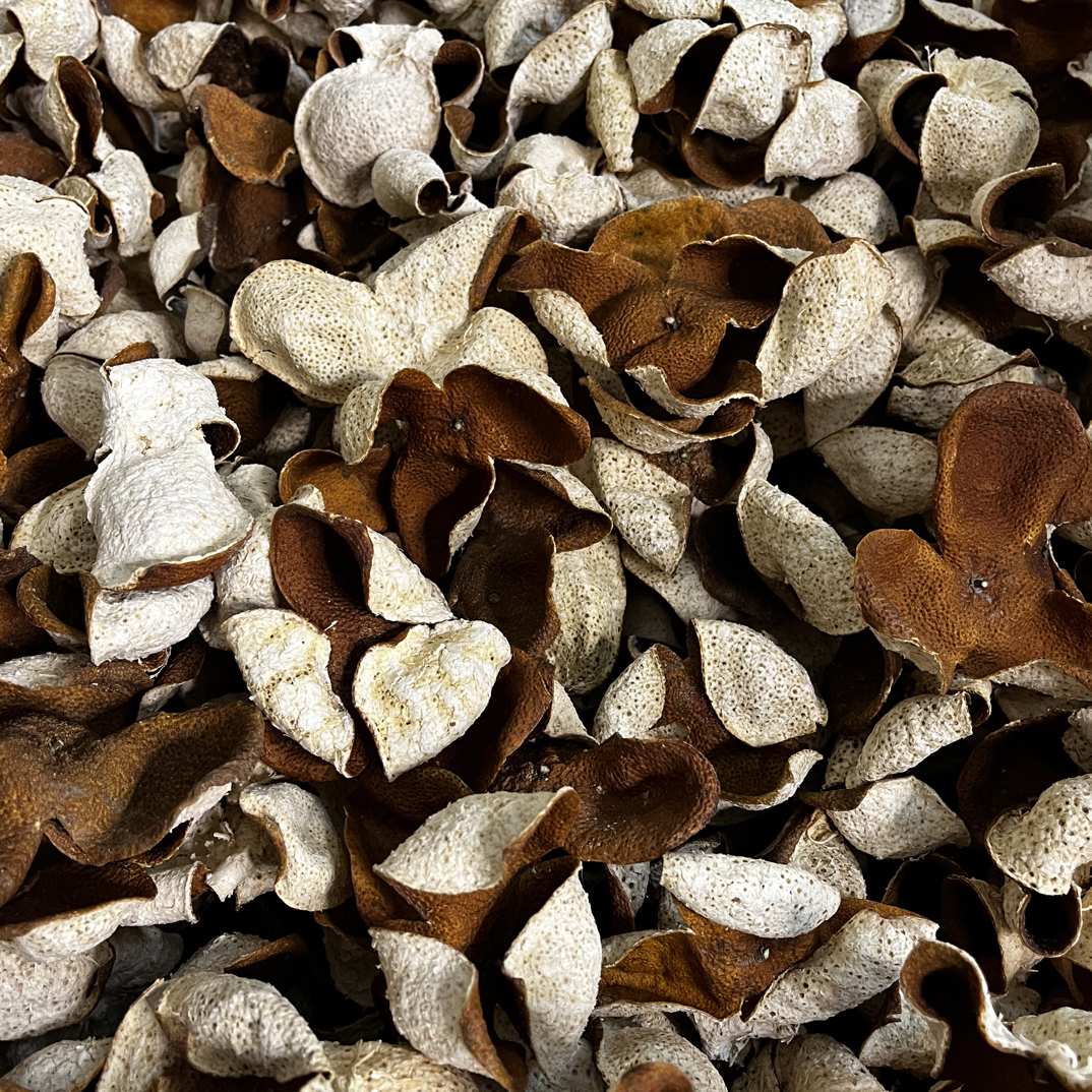 2024新会七堡老树大红干皮自家果围自产自销陈皮原料自存送礼