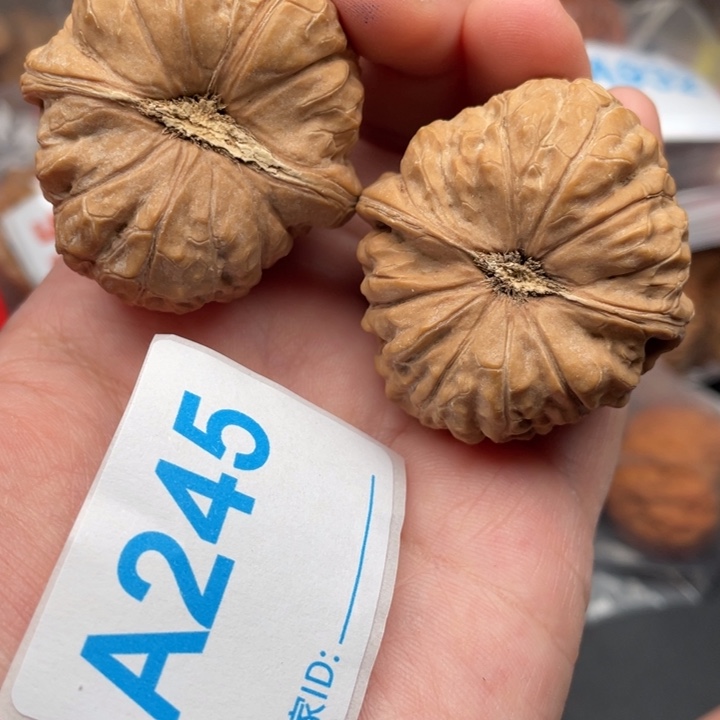 文玩核桃吊坠核桃