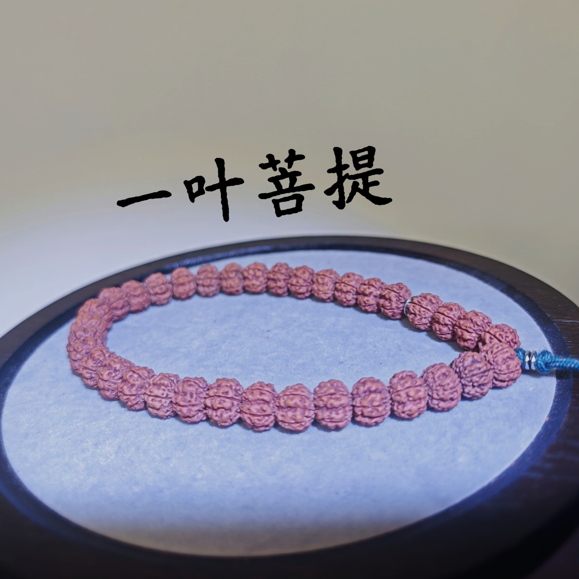 小金刚菩提改价链接