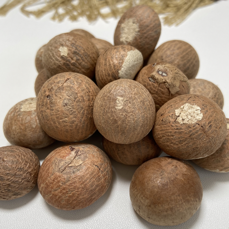 槟榔果又名血丝菩提 金丝菩提原果带皮混装200克重（大概20个）左右