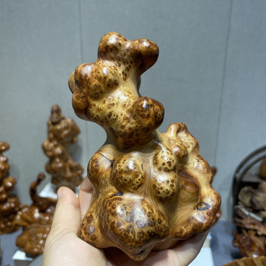 太行崖柏陈华手把玩