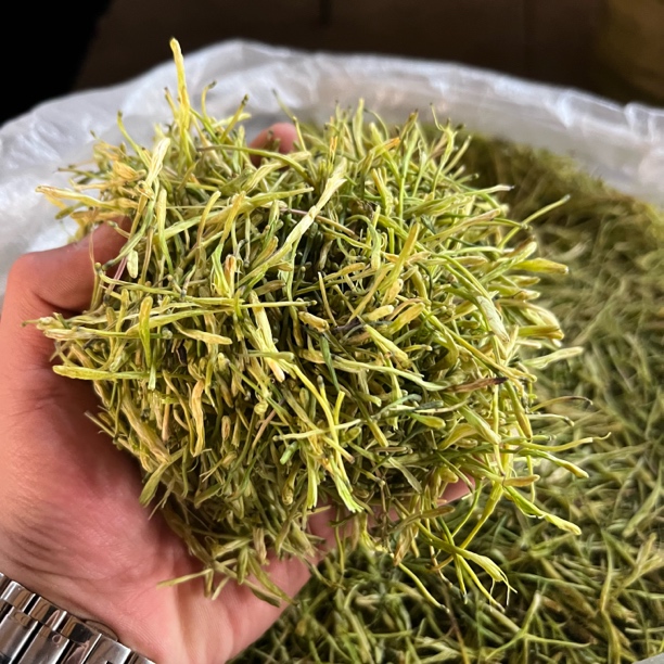 【村里货】——金银花