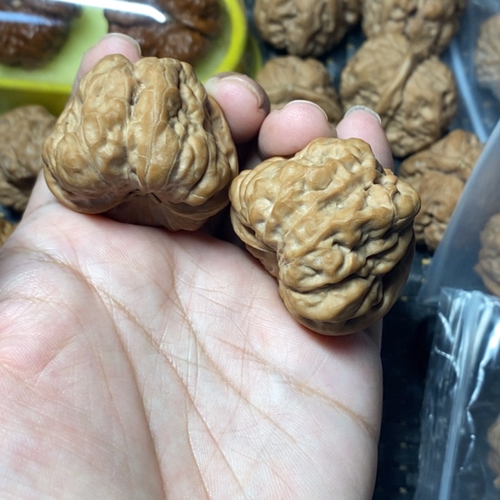 把件文玩核桃蛤蟆40全