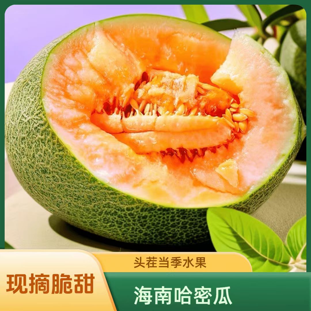 海南哈密瓜 3/5/9斤新鲜佛罗水果蜜瓜25号甜瓜西州蜜一件代发整箱