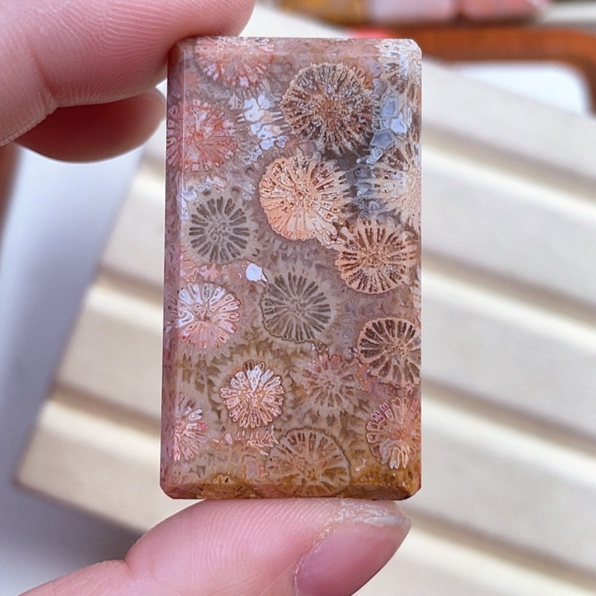 【闪购商品】硅化玉吊坠(赠链)未镶嵌