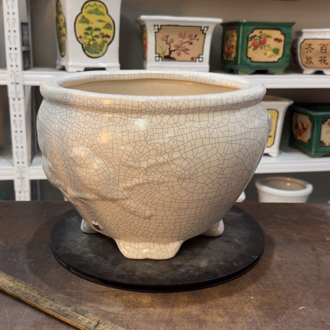 红陶往**风22222222222222