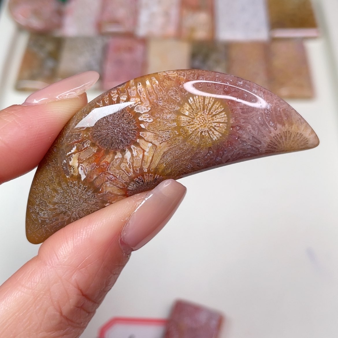 【闪购商品】未镶嵌吊坠(赠链)硅化玉