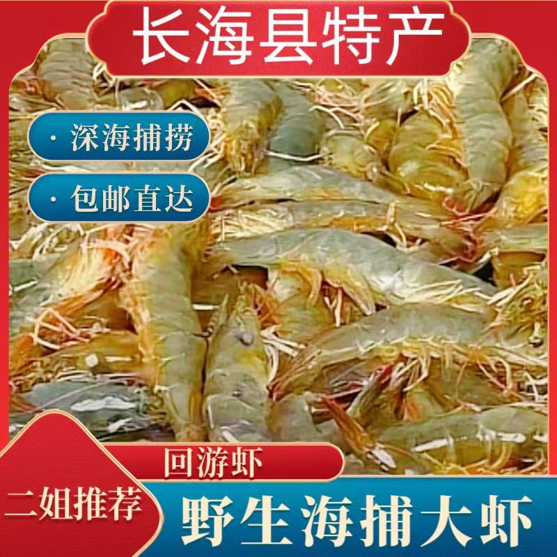 《长海县二姐》大连海捕大虾/野生海虾（液氮单冻）
