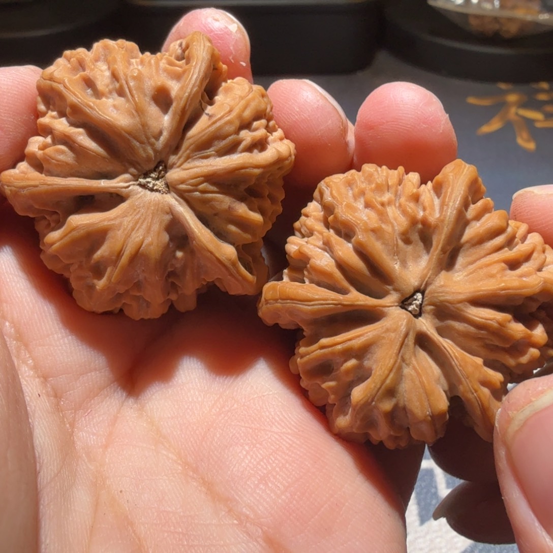 文玩核桃把件帝王正奔