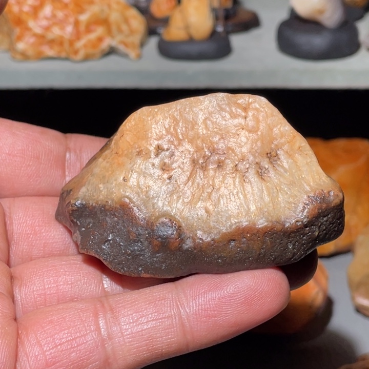 栖***木石材阿拉善沙漠奇石