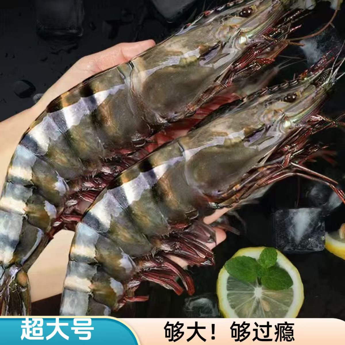 L精品超大号1620规格黑虎虾3斤/盒 活虾速冻 8-10只左右/斤
