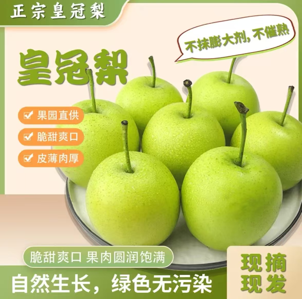 【产地直发】老果农自种梨5斤装 · 现摘现发 · 坏果包赔· 皮薄肉厚 