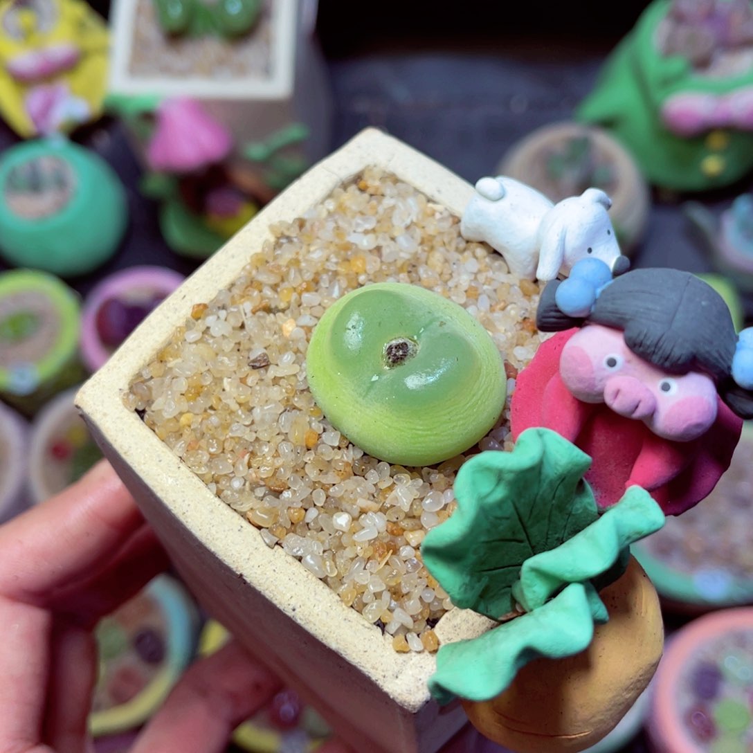 霖*1111111111111111111111