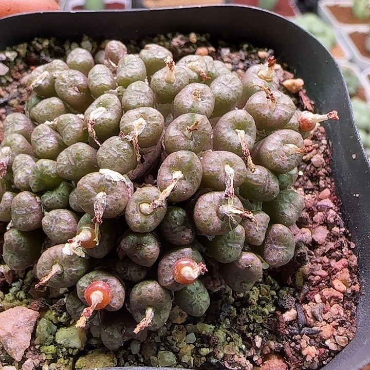 63518个哈哈哈哈哈哈哈