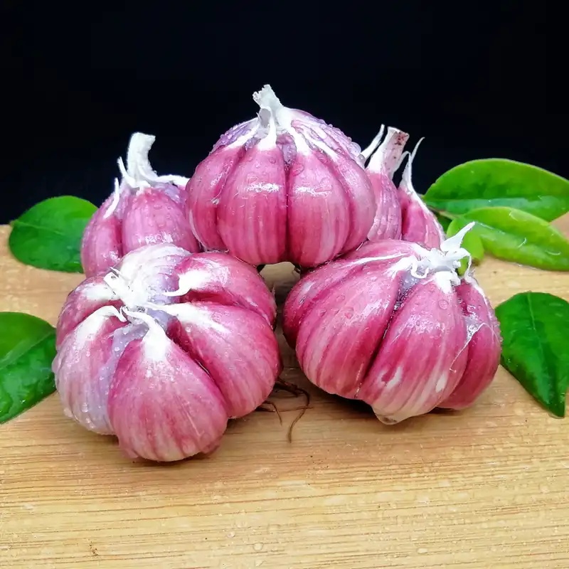 云南正宗5斤紫皮大蒜新蒜多瓣蒜大蒜头红皮蒜蒜瓣