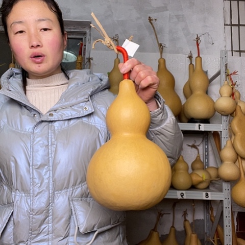 ?****?天然植物葫芦文玩