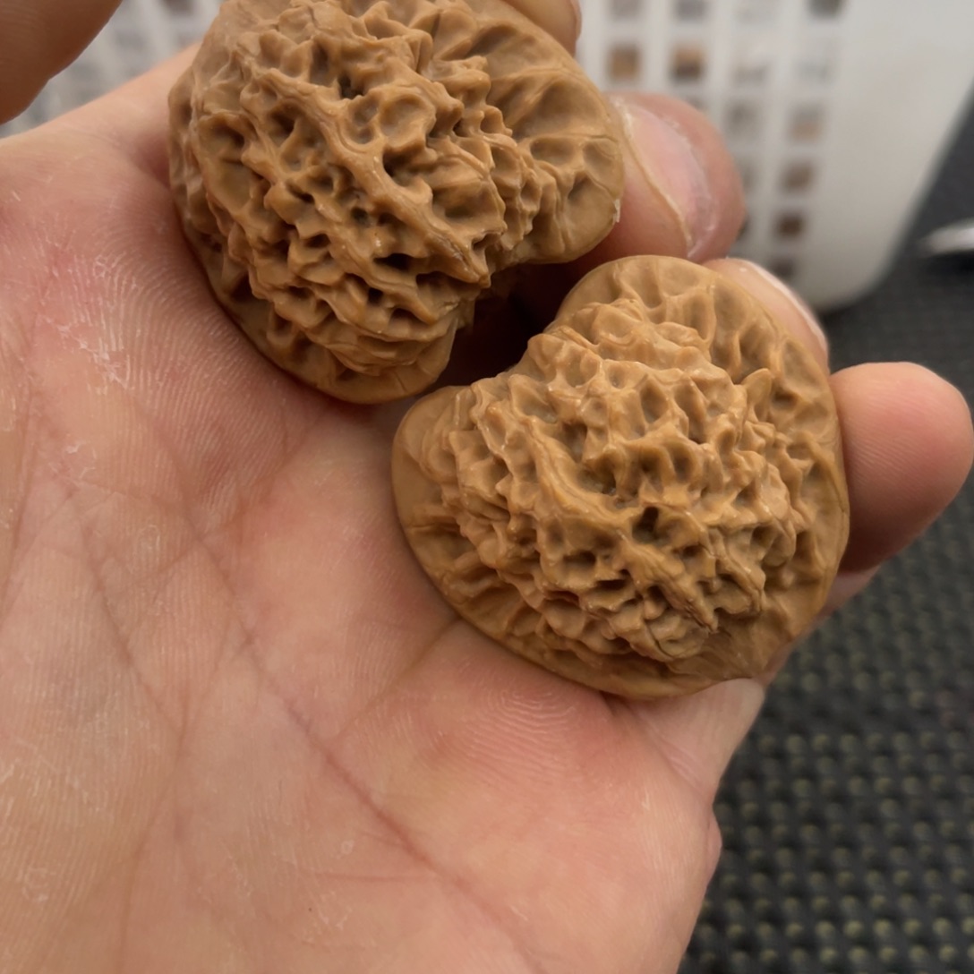 激*秦岭小王文玩核桃