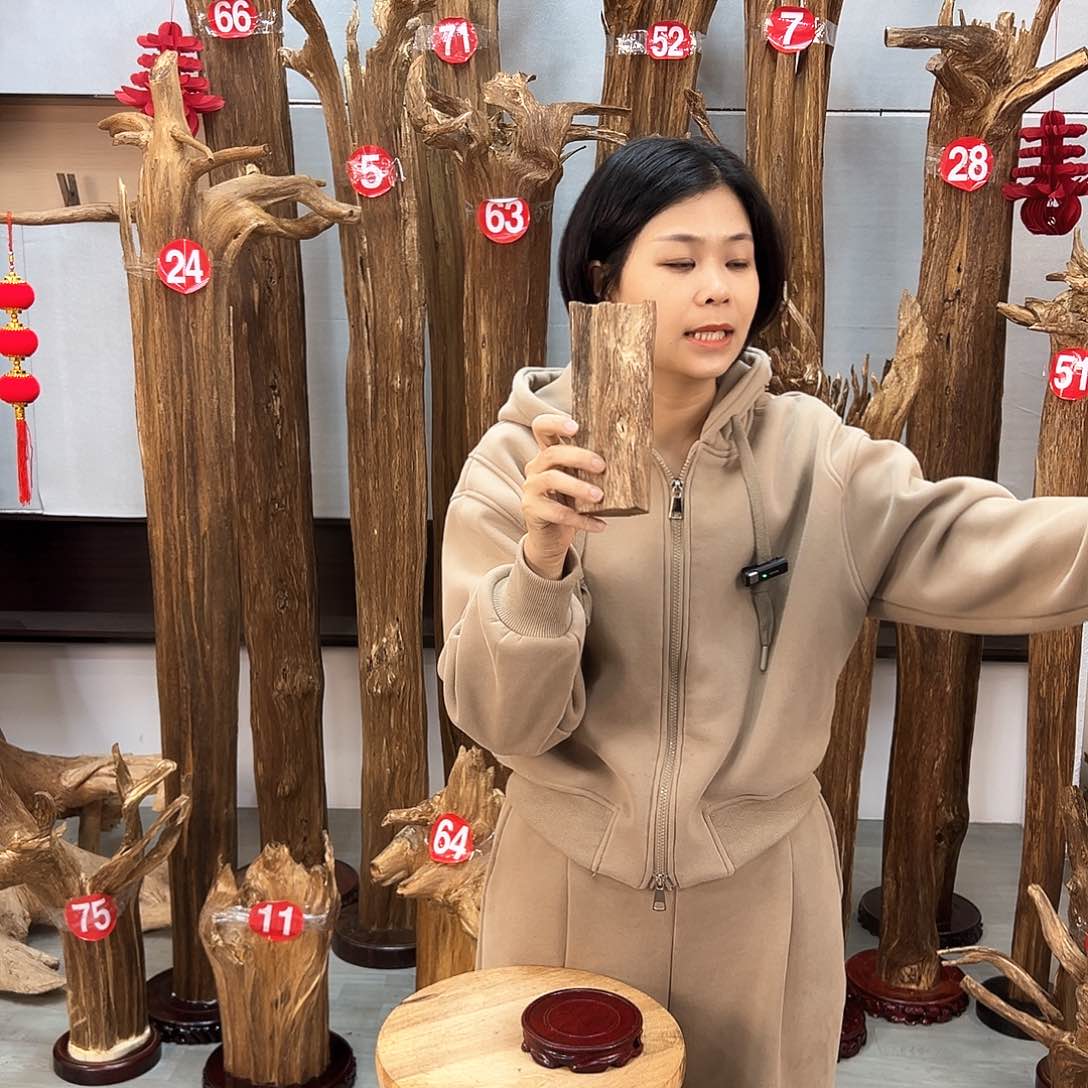 沉香摆件沉香摆件