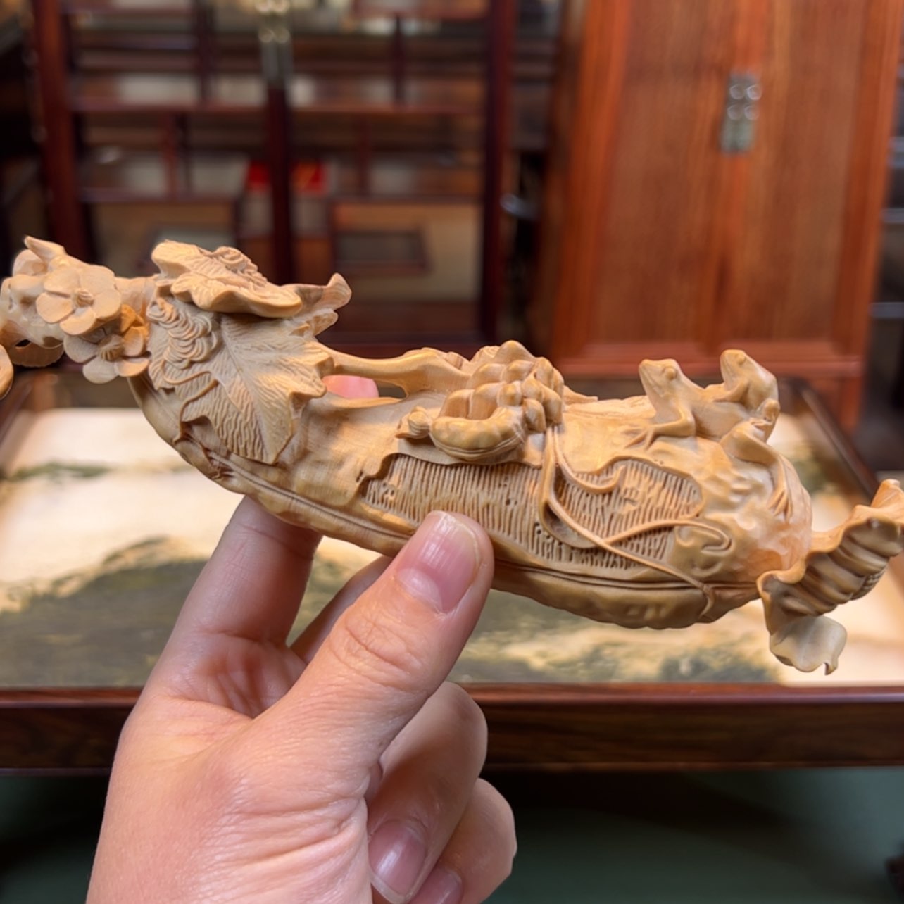 【闪购商品】黄杨木其他黄杨木