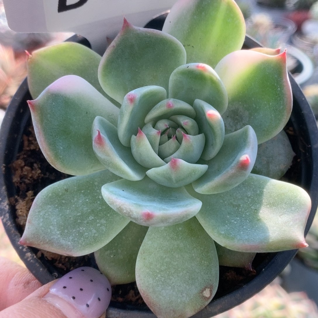 040哈哈哈哈哈哈哈哈哈哈