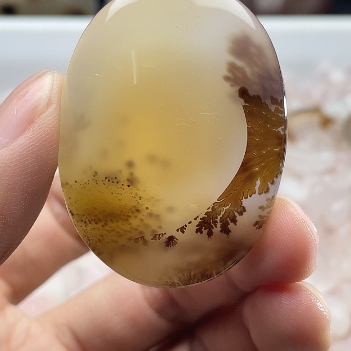 海***滨玛瑙/玉髓未镶嵌颈饰