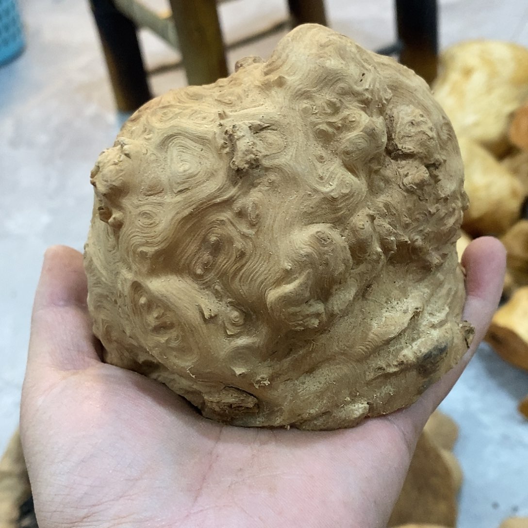 新***业荔枝木荔枝木原料