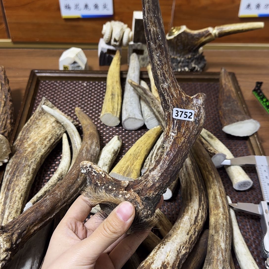 手串/手链鹿骨3752独角