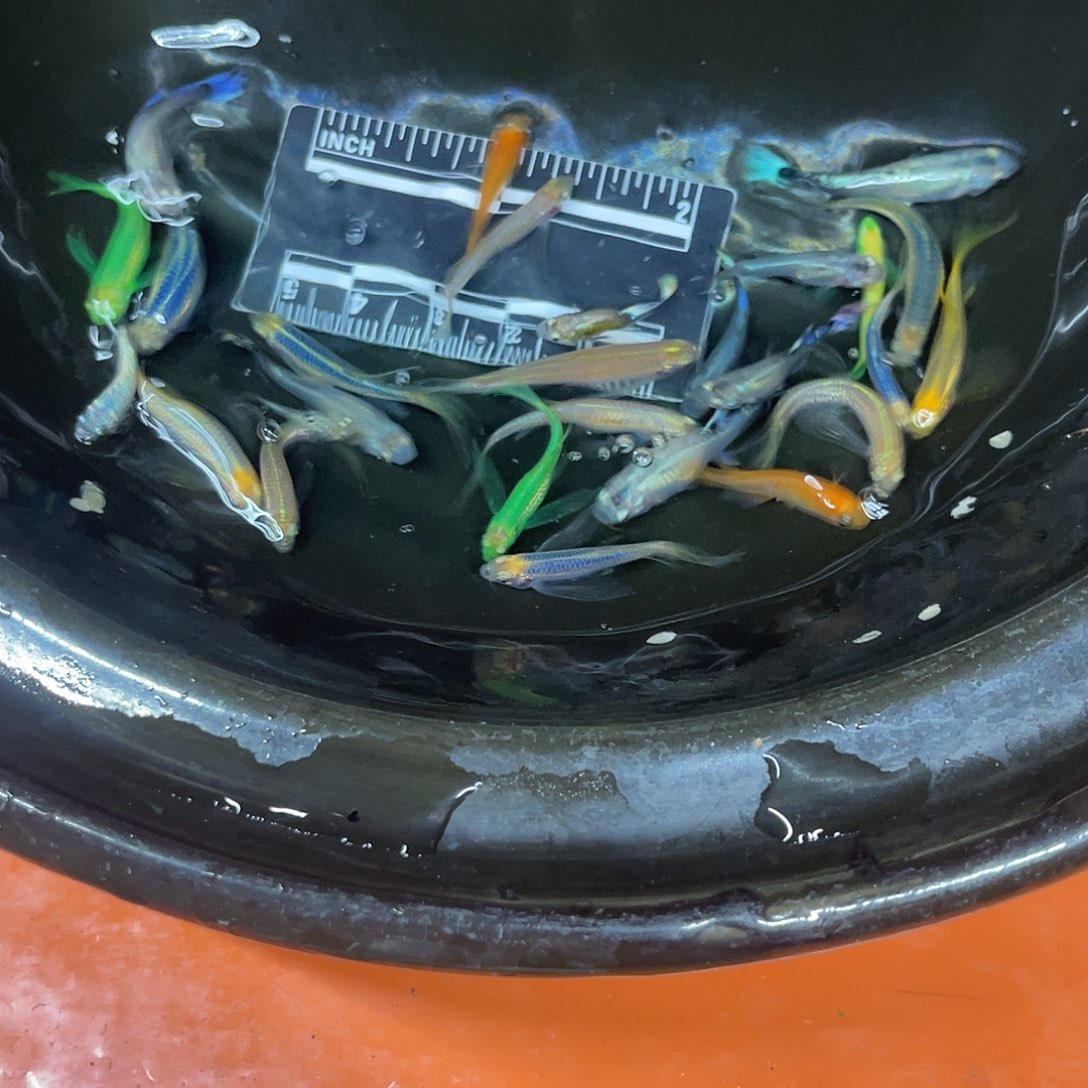 海水15号哈哈哈哈哈哈
