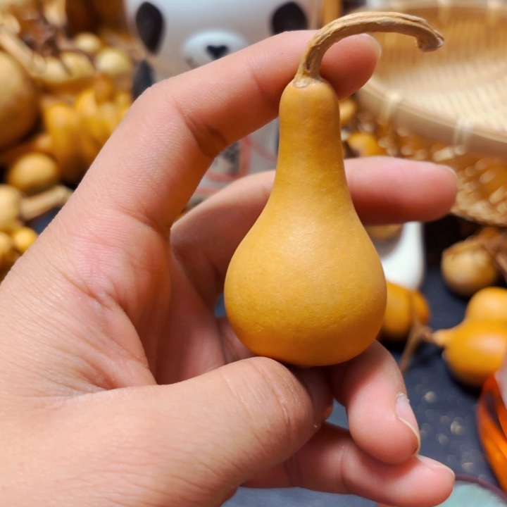 纵8888888888888888888