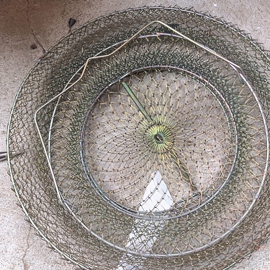 铁丝笼一个中号。     