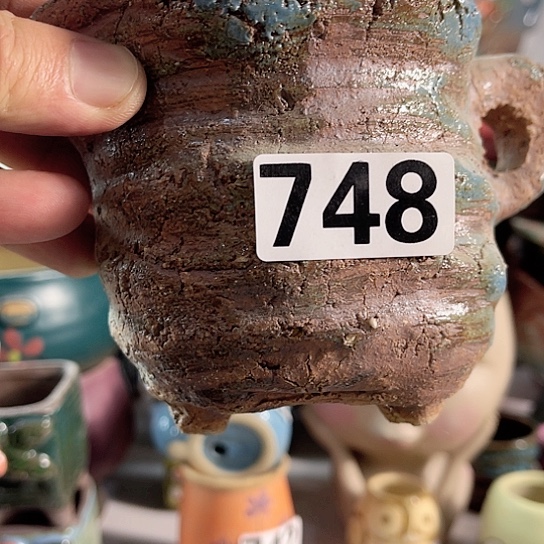 红陶多肉植物花盆